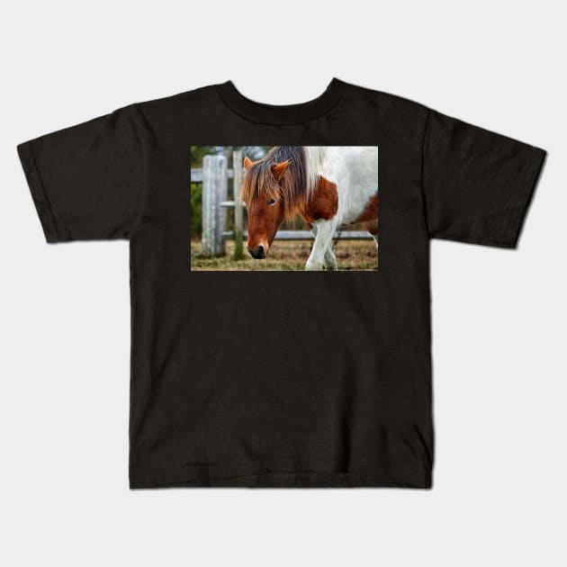 Assateague Pony Susi Sole on Fence Patrol Kids T-Shirt by Swartwout